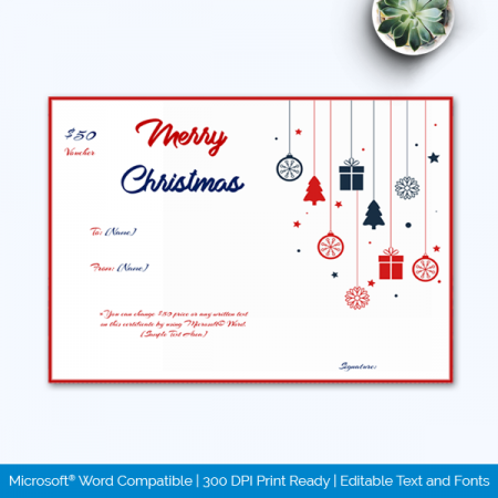 80+ Christmas Gift Certificate & Voucher Templates (Word | PDF