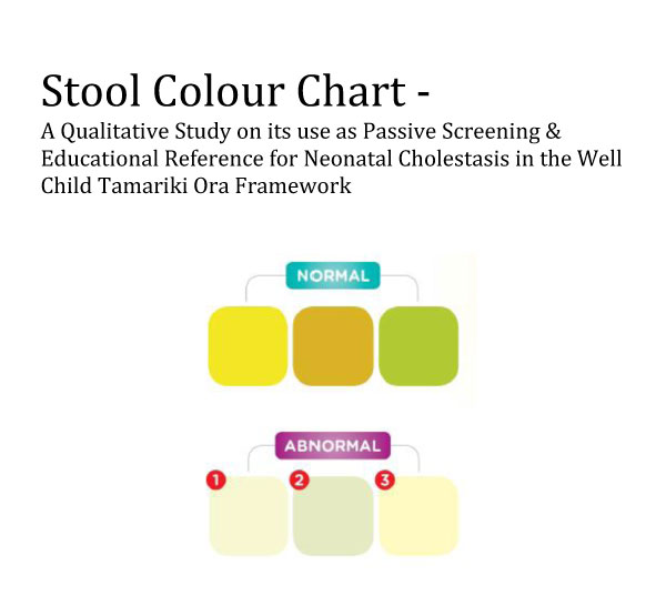 12+ Free Printable Stool Color Charts (Word | PDF)